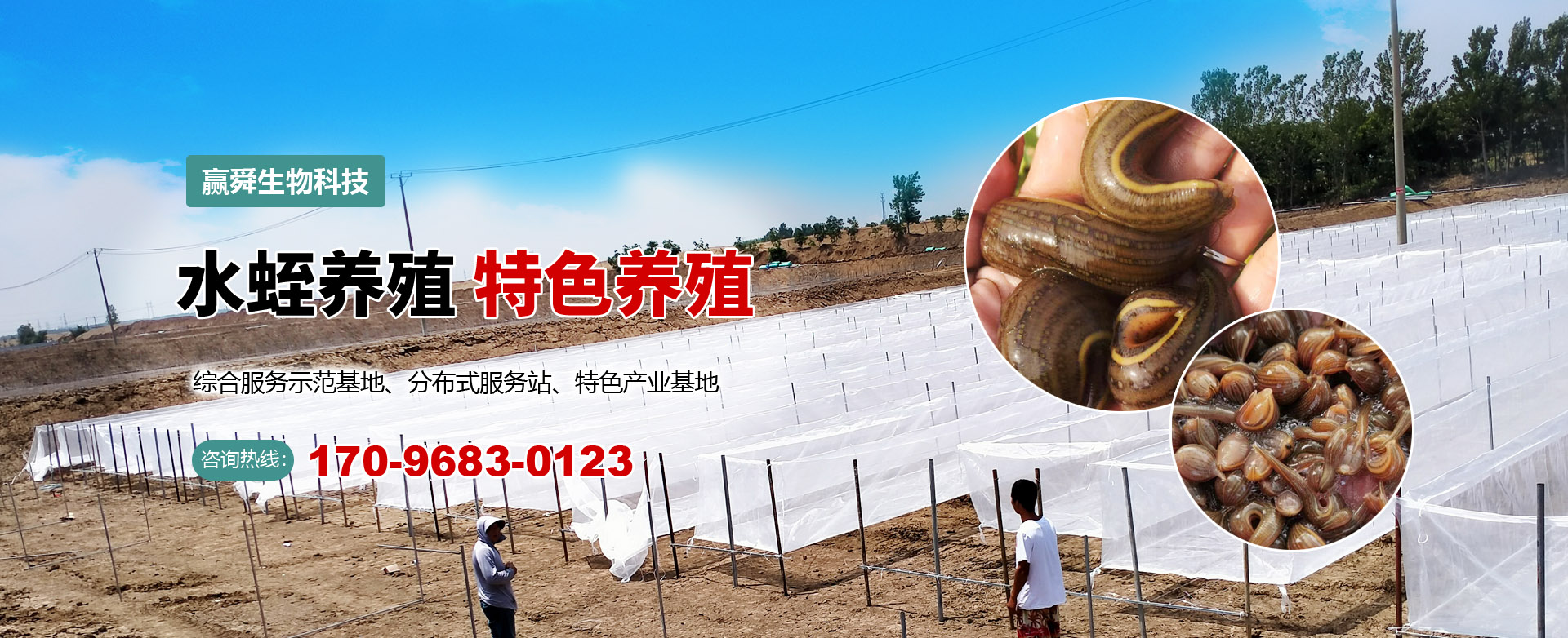 WilliamHill威廉希尔