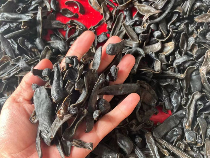 WilliamHill威廉希尔制品