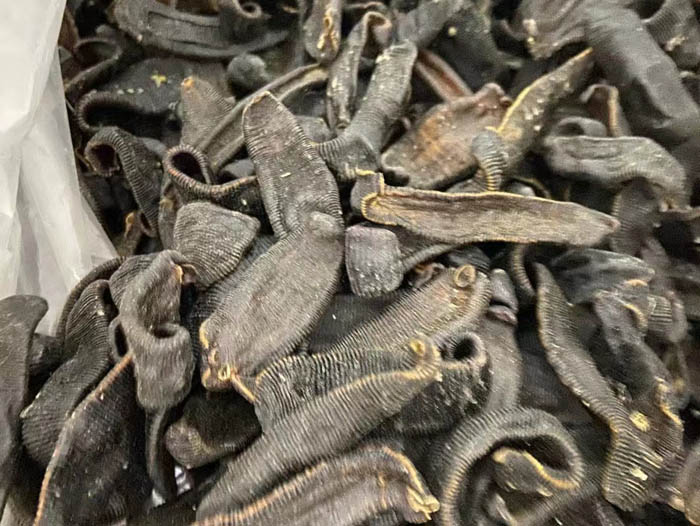 WilliamHill威廉希尔制品