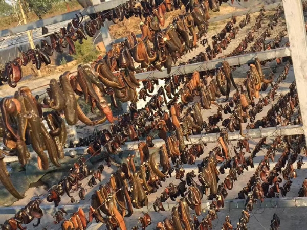 WilliamHill威廉希尔制品