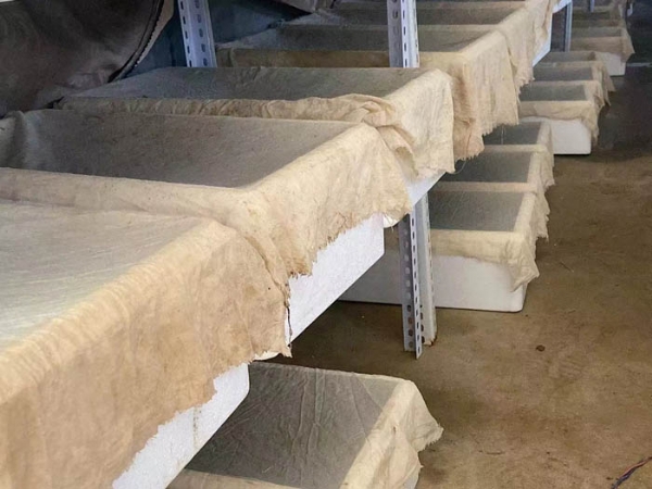 WilliamHill威廉希尔卵茧