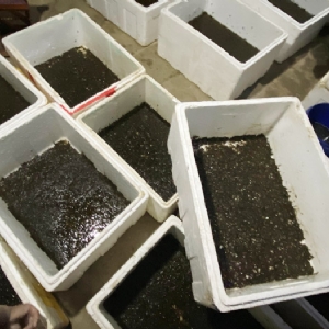 WilliamHill威廉希尔制品