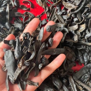 WilliamHill威廉希尔制品