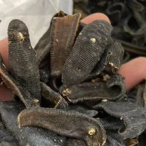 WilliamHill威廉希尔制品