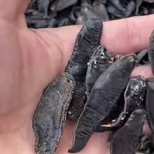 WilliamHill威廉希尔制品