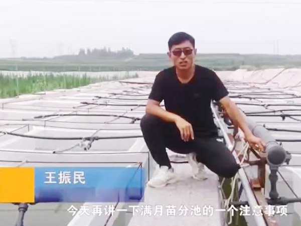 WilliamHill威廉希尔满月苗确当苦衷项