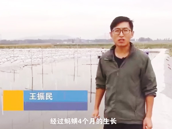 WilliamHill威廉希尔收成流程