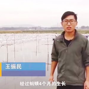 WilliamHill威廉希尔收成流程