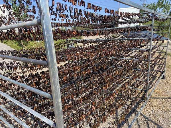 WilliamHill威廉希尔制品